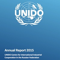 Годовой отчет Центра за 2015 год (англ.)