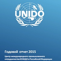 Годовой отчет Центра за 2015 год
