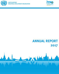 Годовой отчет Центра за 2017 год  (англ.)
