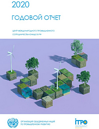 Годовой отчет Центра за 2020 год