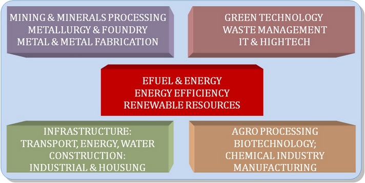 Implementation of UNIDO/BRICS Project