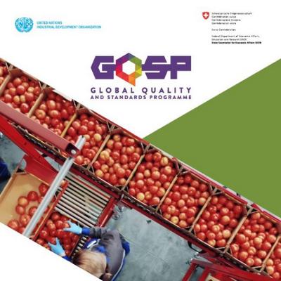 Improving trade, changing lives. The impact of the Global Quality and Standards Programme Improving trade, changing lives. The impact of the Global Quality and Standards Programme