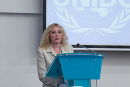 The celebration of the 25th anniversary of the UNIDO Centre for International Industrial Cooperation in the Russian Federation